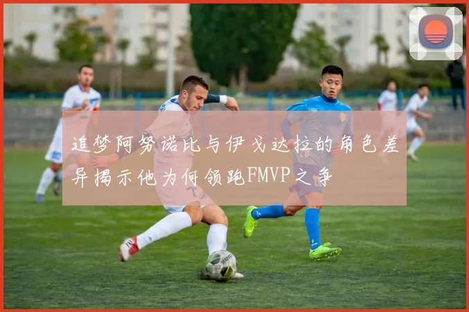 追梦阿努诺比与伊戈达拉的角色差异揭示他为何领跑FMVP之争